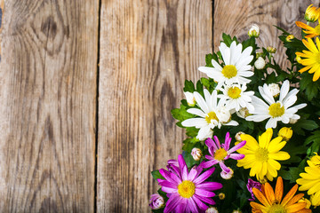 Obraz premium Arrangement of fresh flowers in a pot