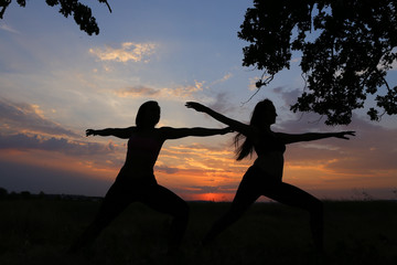 Two sporting girl posing and become into postures of yoga or pil