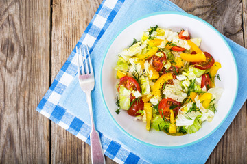 Fresh vegetable salad with olive oil