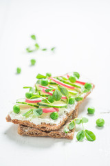 Healthy crispy bread with crunchy bread, fromage cheese and avocado