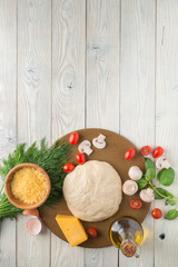 ingredients and the pizza dough on the wooden background top view