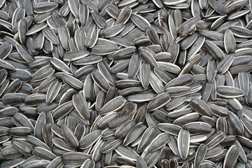 Sunflower seeds background 