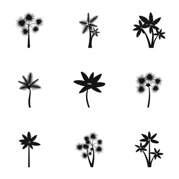 Types of palm icons set, simple style