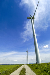 Fototapeta premium Fan, Austria, Lower Austria, Weinviertel