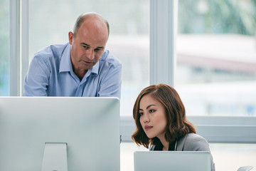 Beautiful young manager looking at computer screen with interest while her middle-aged superior...