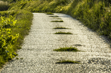 Narrow lane, Austria, Lower Austria, Weinviertel, Roeschitz