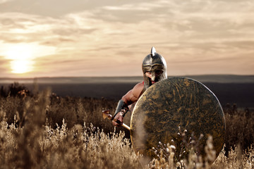 Soldier like spartan in bronze helmet holding  rounded shield.