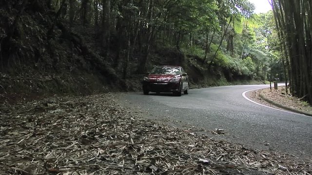 Road through the El Yunque National Forest