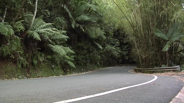 POV on Route 123 in Puerto Rico