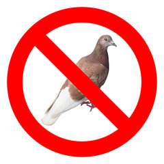 No pigeons sign