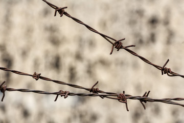 Close up of barbed wire