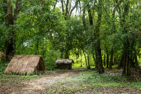 House of vedda people