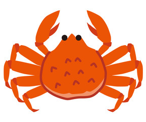 蟹　カニ