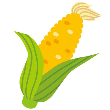 とうもろこし Images Browse 10 797 Stock Photos Vectors And Video Adobe Stock