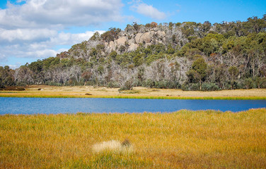 Alpine grass around Lake Catani at Mount Buffalo in Victoria, Australia