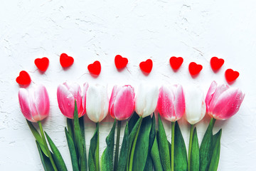 Spring fresh tulips greeting card, Valentine day concept.