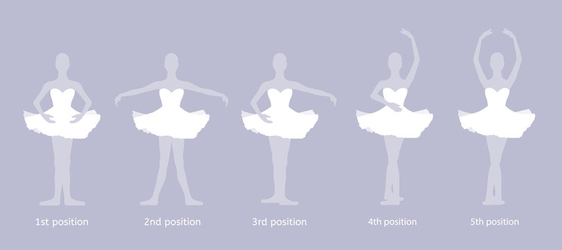Girl dancer performs the five basic ballet positions