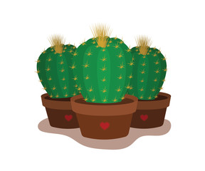 Three pots of cacti. Vector illustration.