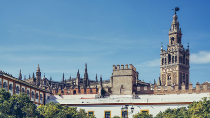 Fototapeta premium La Giralda seen from the Plaza del Patio de Banderos