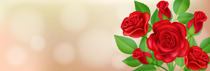 Horizontal banner with red rose flower and leaf for Valentine's day and love message