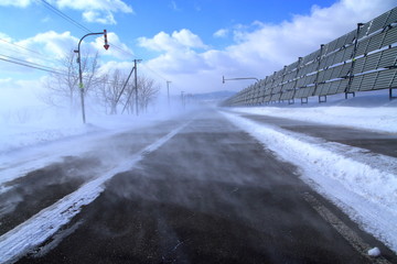 Obraz premium Blowing snow in Hokkaido