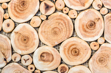 Background of mosaic birch wood tree, close-up
