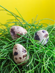 Easter background with rabbits and easter egg, top view