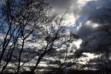 Grey morning skies with fluffy white clouds Southwest Virginia