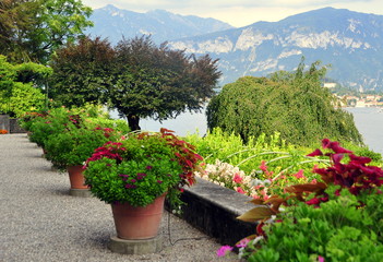 Garten der Villa Carlotta in Tremezzo am Comer See