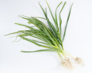 garlic isolated on white background