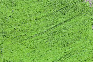 green grunge cement background. greenery, color of  year 2017. Pantone