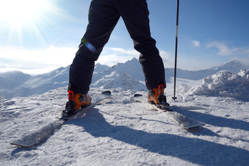 Ski legs and ski pole