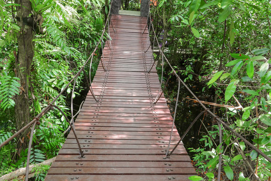 suspension wood bridge walkway in the forest © pramot48