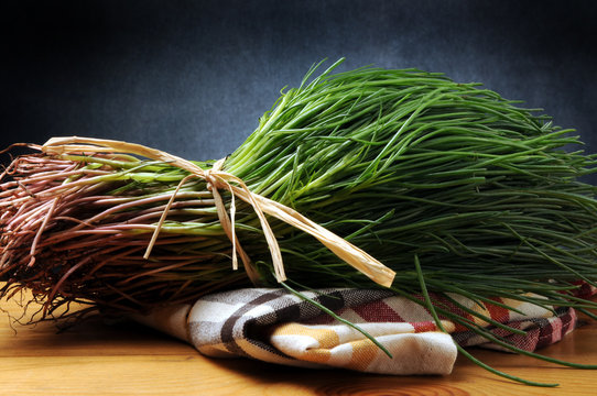 Salsola soda Saltwort 苏打猪毛菜 Barba del frate &Alpha;&lambda;&mu;ύ&rho;&alpha; Agretto Soude commune گیاه Negus Săricică شور  Barilla plant