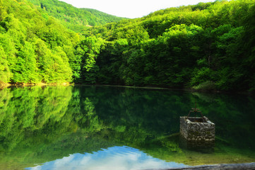 Fototapeta na wymiar reflection of the lake