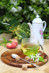 Summer Tea Party: herbal tea in the lush  garden