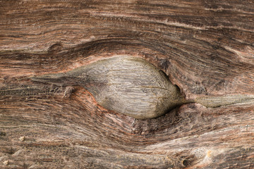 Closeup of dark wood background,