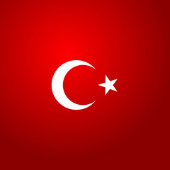 Turkey flag color vector illustration