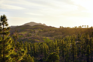 Fototapeta premium Amazing view of mountain peaks with beautiful clouds on the sunset. Location: Tenerife, Canary Islands, Spain. Artistic picture. Beauty world
