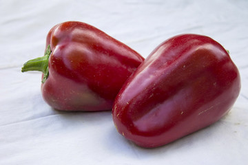 Painted pepper on a white background.