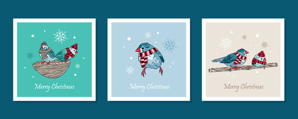 vector cards with cute birds warm dressed in winter season