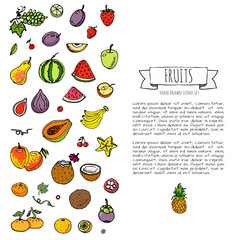 Hand drawn doodle fruits and berries icons set Vector illustration seasonal food symbols collection Cartoon various types of tropical fruits on white background Sketch style. Pineapple, papaya