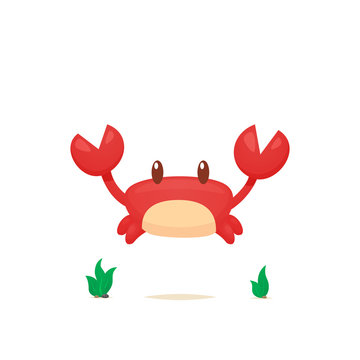 Crab vector isolated