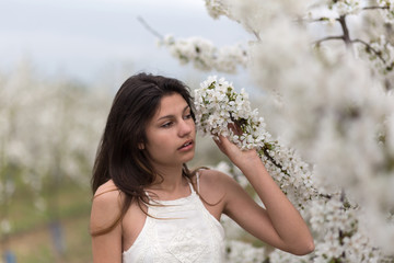 Young girl and a blossomed cherry tree