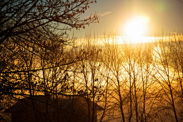 Naklejka premium Alba