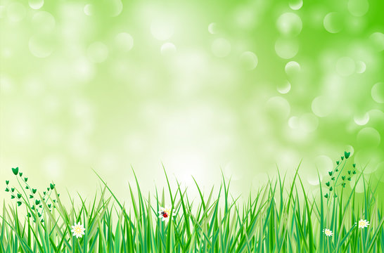 Green background with grass, flowers and blurred bokeh