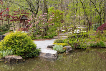 Fototapeta na wymiar Blooming Trees in Japanese Garden