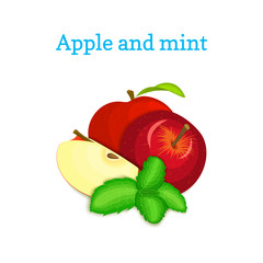Vector composition of a few red apples and mint leaves. Red apple fruits appetizing looking. Group of tasty ripe apple with pepper mint leaf packaging design of juice, breakfast, healthy vegan food