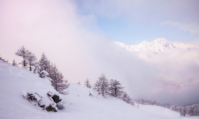 Fototapeta na wymiar Paesaggio alpino innevato al crepuscolo