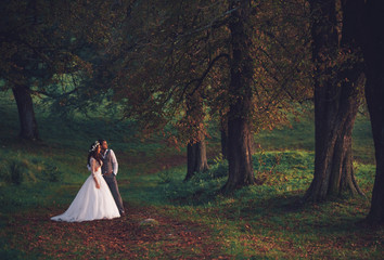 Colorful forest and happy newlyweds